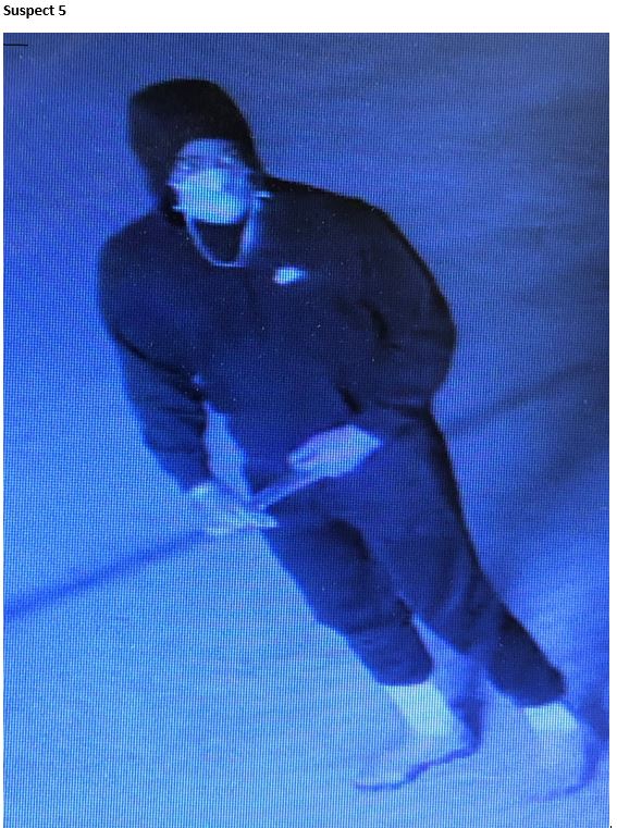 Burglary suspect caught on surveilance video