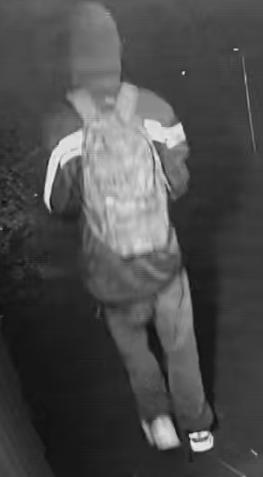 Picture of suspect from behind with bookbag on his back