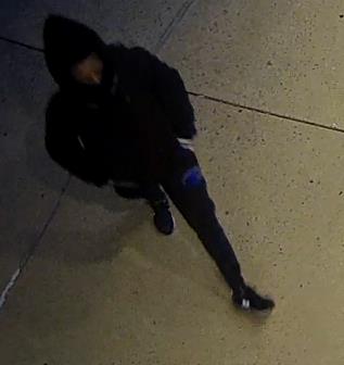A person in a dark-colored hoodie.