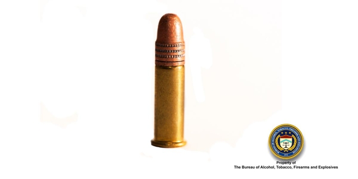 .22 Cal Bullet 