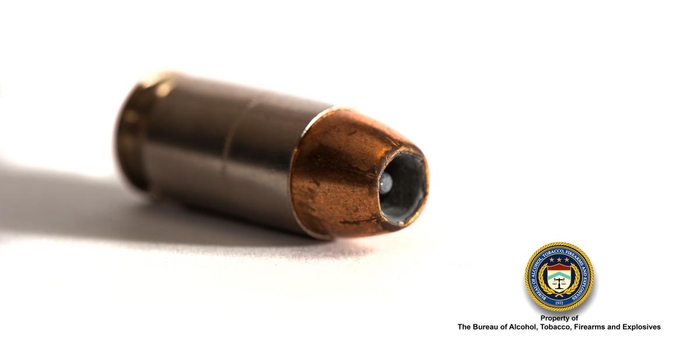 .45 Cal Hollow Point Bullet 