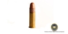 .22 Cal Bullet 